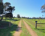 158 Levetts Road, Bolwarra