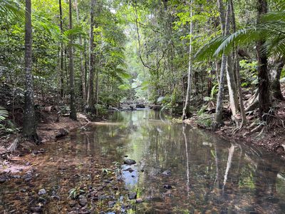 Lot 21, Old Dairy Road, Cooktown