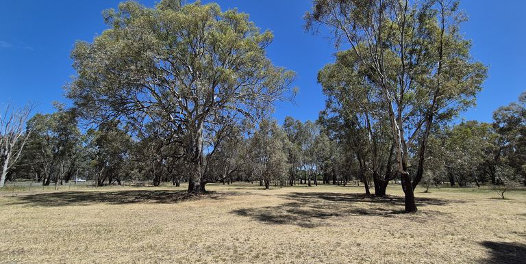 Lot 1, Irwin Street, Violet Town
