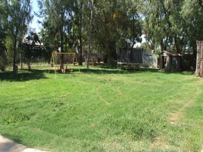 12 PULLAMING STREET, Curlewis