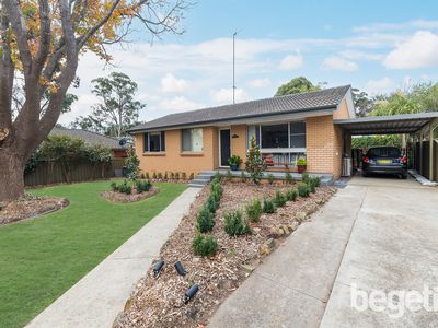 6 Peppin Place, Elderslie