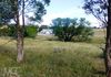 636 Waldegrave Road, Forest Reefs