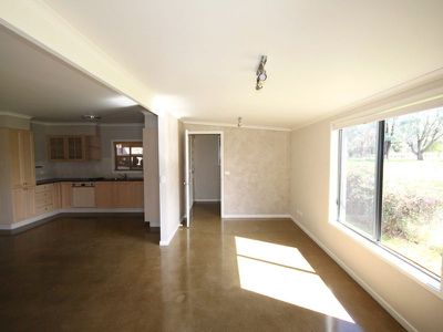 41 Shadforth Street, Oxley