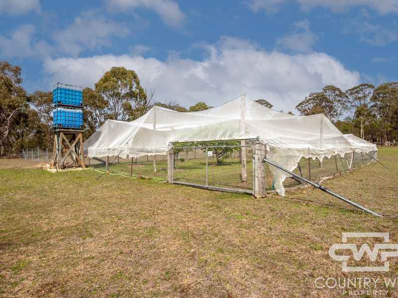 40 Catarrh Creek Road, Torrington