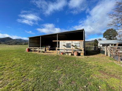 31 Cinnabar Lane, Jamieson
