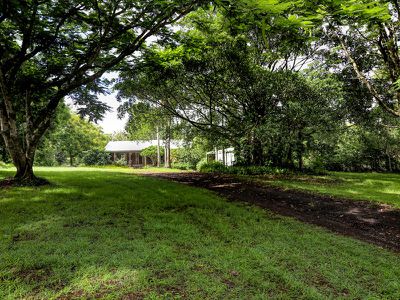 138 Gungas Road, Nimbin