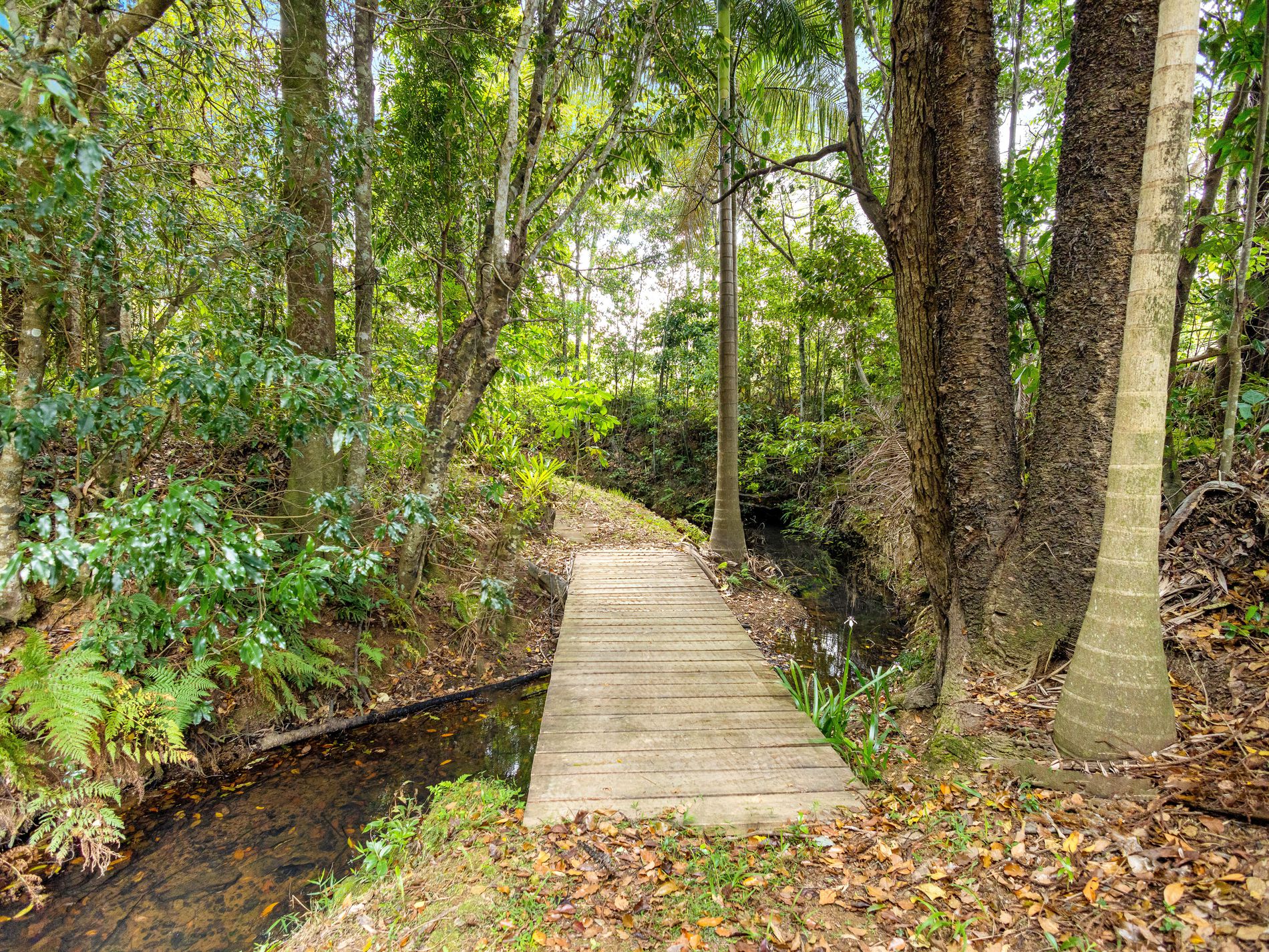 10 Wust Road, Cooroy