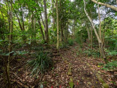 25 Carrington Drive, Flaxton