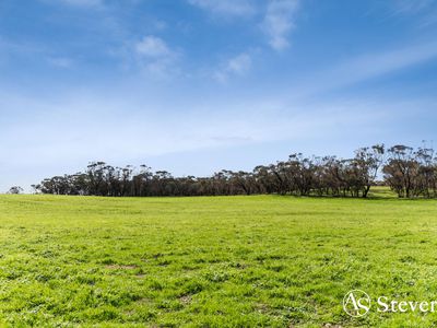 499 Old Wedderburn Road, Slaty Creek