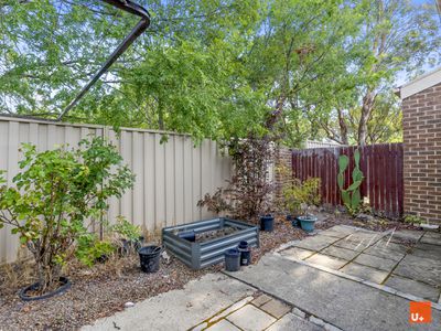 3 / 142 Totterdell Street, Belconnen