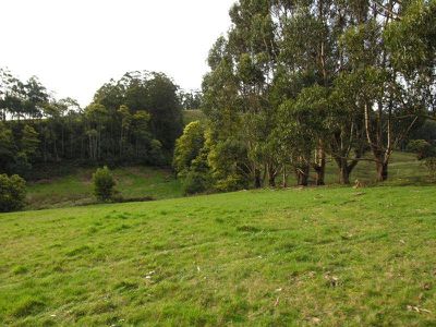 Sculthorpes Road, Nicholls Rivulet