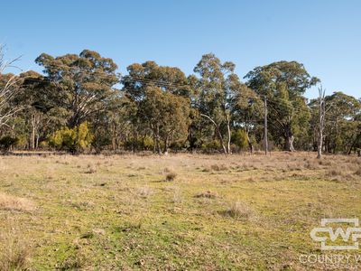 13 Deloraine Road, Emmaville