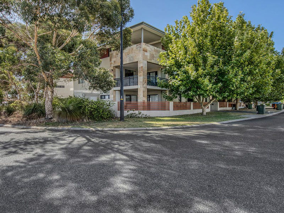 1 / 35 Brushfoot Boulevard, Success