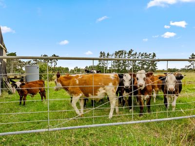 331 South Head Road, South Head, Helensville