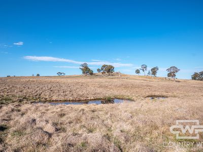 52 Lahara Road, Glen Innes