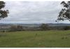 324 Dripstone Road, Neurea
