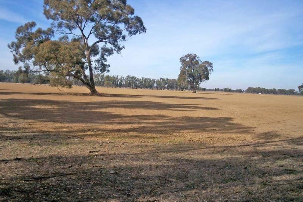 Cnr Davies Roads & Warren Roads, Undera