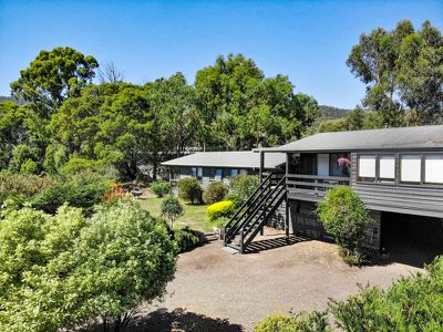 8 Telemark Court, Merrijig