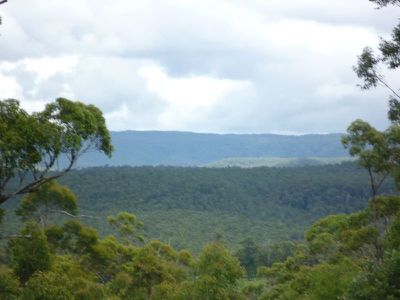 E1525C Princes Highway, Conjola