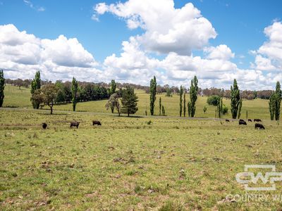 387 Shannon Vale Road, Shannon Vale