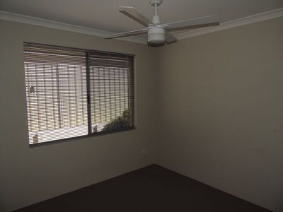 17 Peacock Avenue, Singleton
