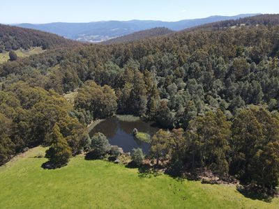 Lot 1 (99 Acres), Coal Mine Road, Kaoota
