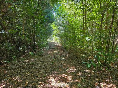 72 Mulligan Highway, Cooktown