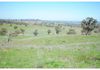 346 Avoca Road, Stuart Town
