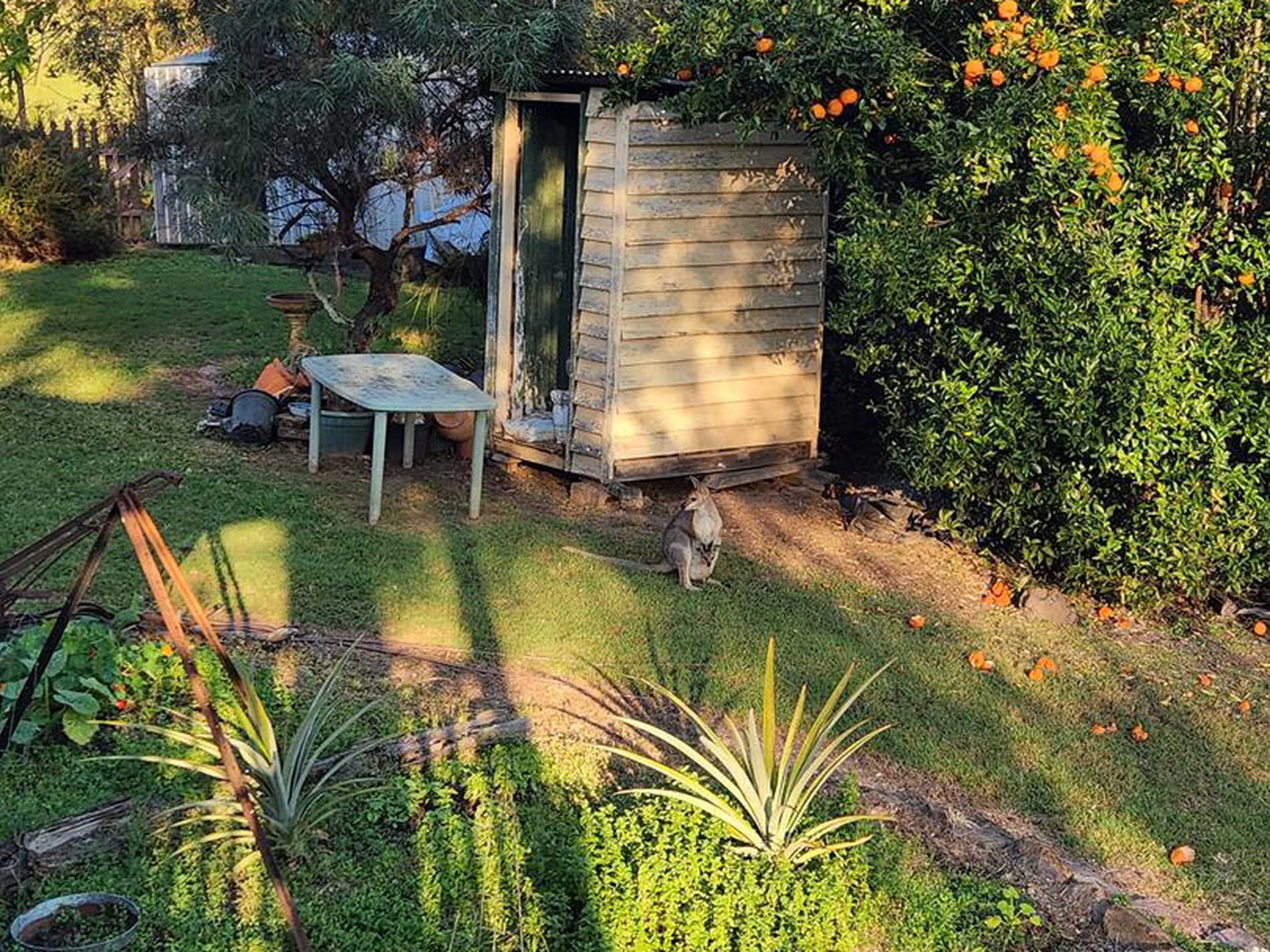 474 Whelan Road, Bollier