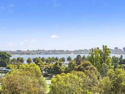 209 / 8 Adelaide Terrace, East Perth