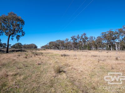 Lot 8, - Emmaville Road, Emmaville