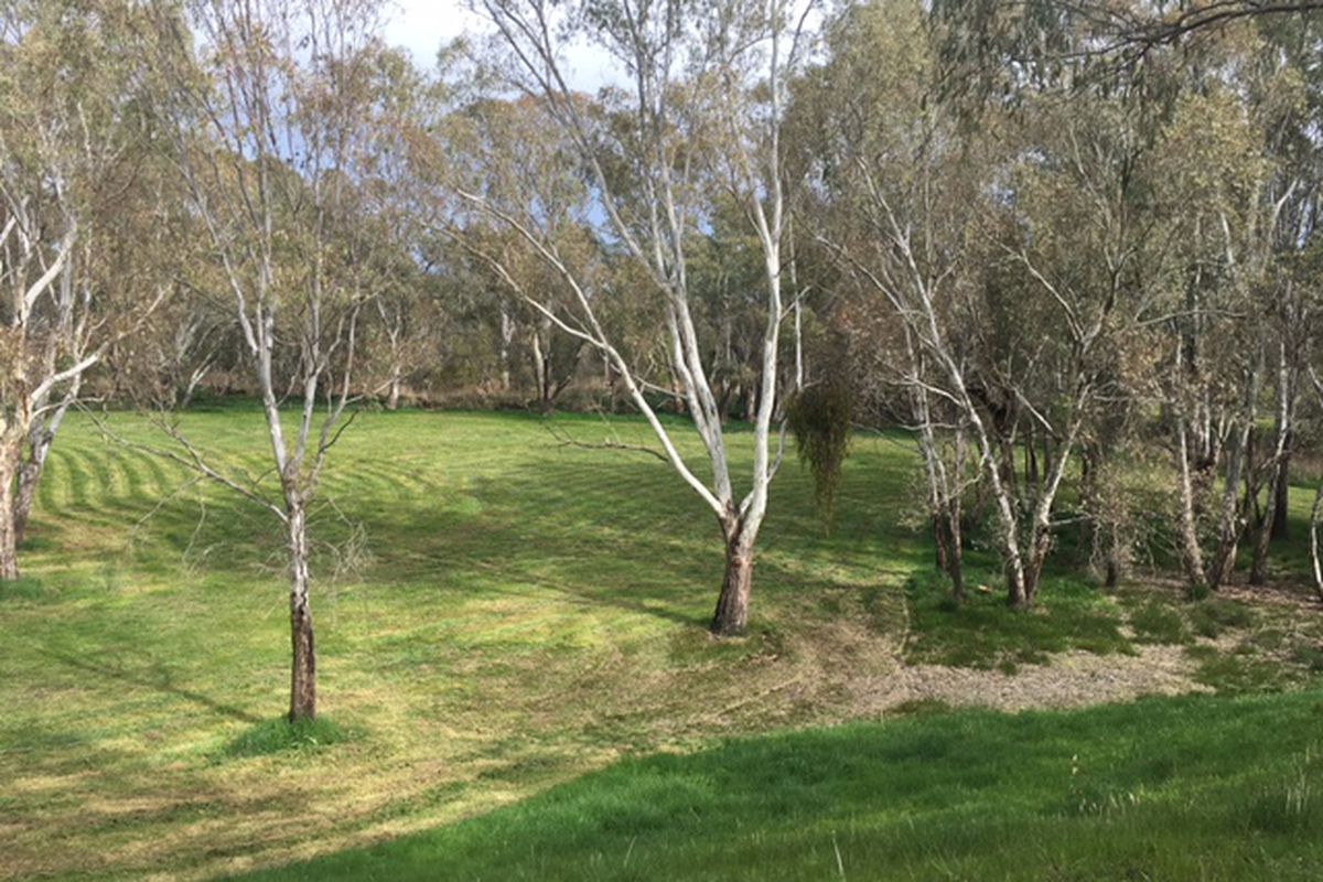 84 -102 -102 Livingstone Street, Avenel