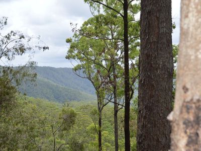 L179 Kilcoy Lane, Conondale