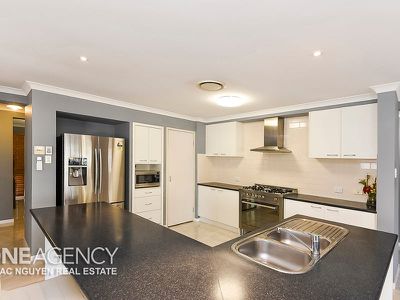 12 Trinity Close, Forest Lake