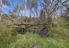 820 Ellendale Road, Ellendale