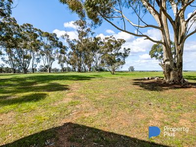 CA 5A Elmore-Raywood Road , Neilborough
