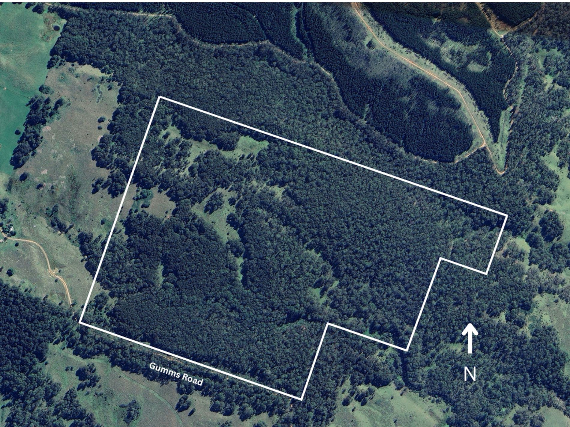 124 Gumms Road, Harolds Cross