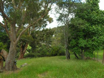 42 Hillborough Road, South Hobart