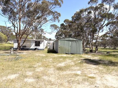 19 Penny Street, Kauring