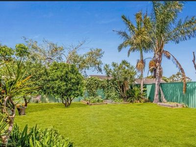 15 Messenger Road, Barrack Heights