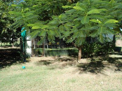 11 Elm street, Barcaldine