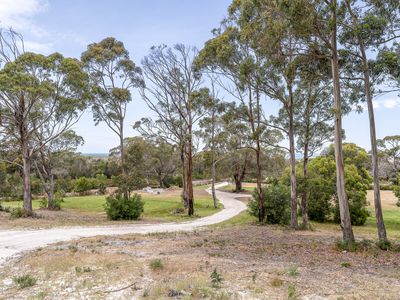 57A Franklin Parade, Lady Barron