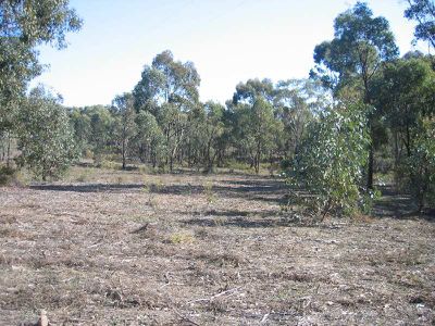 LOT 37 WARROWITUE-FOREST ROAD, Heathcote