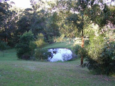 84 Paddington Lane, Kangaroo Valley