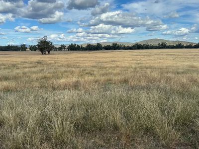 86 Hunts Crossing Road, Parkes