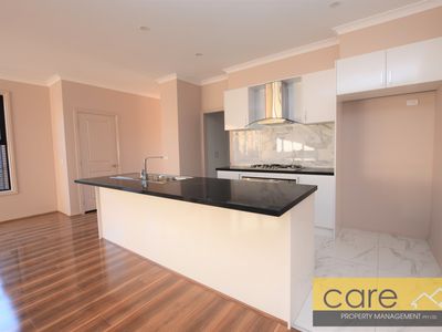 15 STATURE AVENUE, Clyde North
