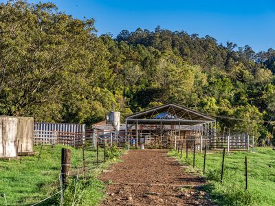 392 TUNTABLE FALLS ROAD, Nimbin