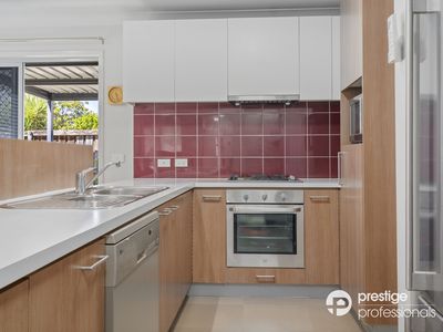 14 Whitfield Parade, Hammondville