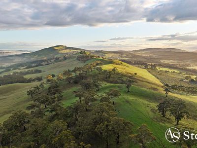 260 & 310 Mt William Road, Goldie