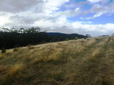 67 Acres Off Abbots Road, Nicholls Rivulet